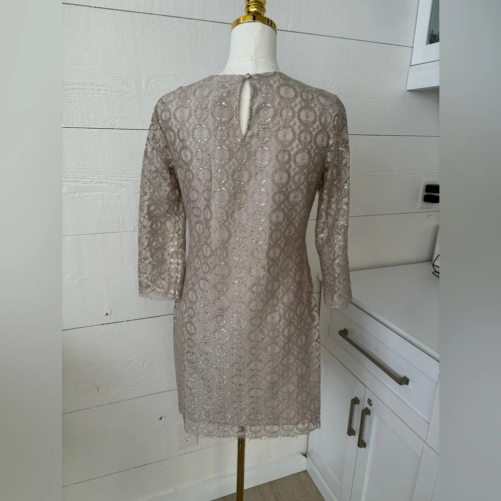 Cynthia Steffe NWT Silver Champagne Lace Cocktail Dress S:2 Formal Wedding Guest - Picture 4 of 7
